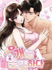 狗是纯洁的