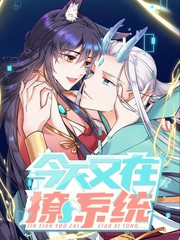 今天又在撩系统