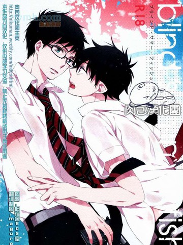 Blind Summer Fish漫画 1已完结 在线漫画 极速漫画